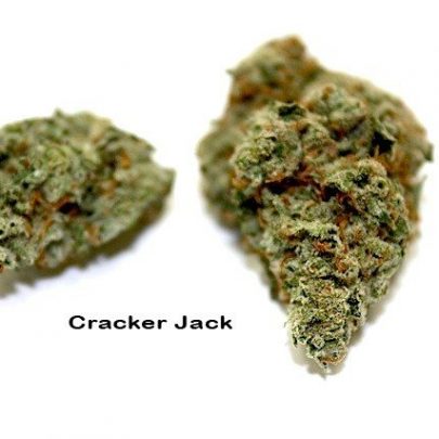 Buy Cracker Jack online | Cracker Jack for sale | Cracker Jack