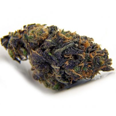Purple Kush strain