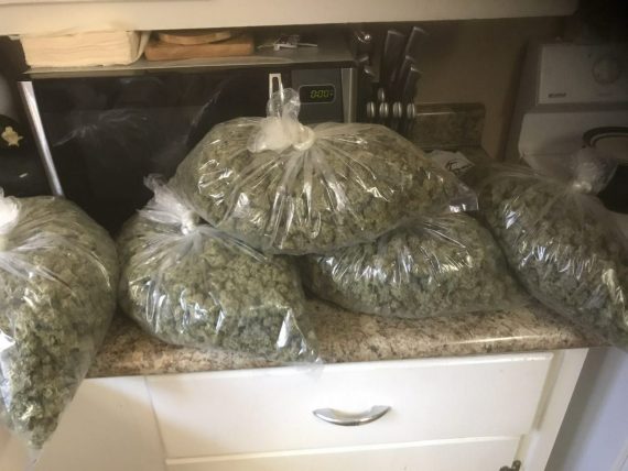 Cannabis wholesale